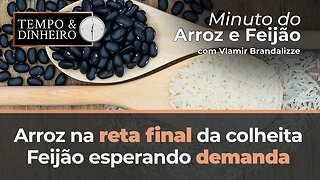 Arroz na reta final da colheita, Feijão esperando demanda!