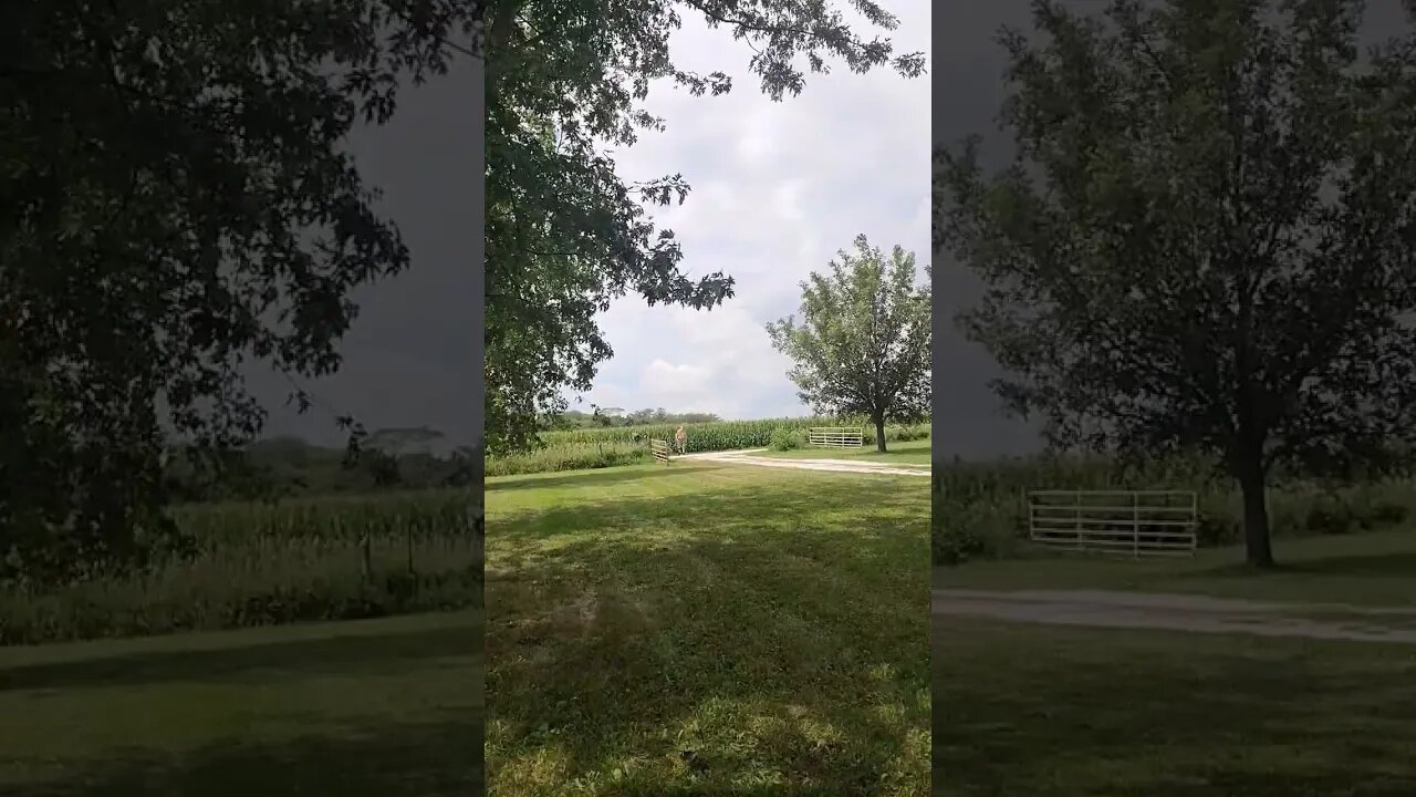 Discus Throw practice for Senior Olympics, 142 feet