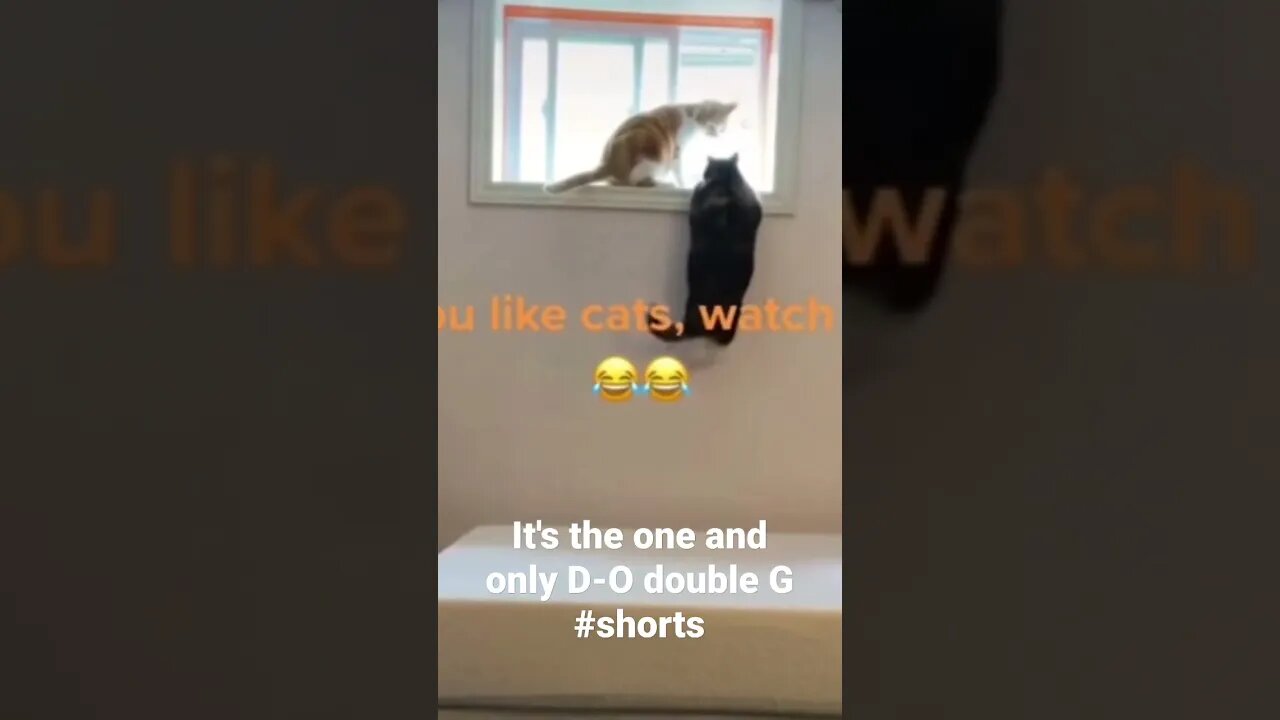 It's the one and only D-O double G #shorts