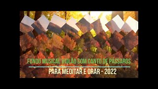 FUNDO MUSICAL VIOLÃO CANTO DE PÁSSAROS NA NATUREZA PARA MEDITAR E ORAR - 2022