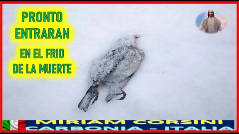 PRONTO ENTRARAN EN EL FRIO DE LA MUERTE - MENSAJE DE JESUCRISTO REY A MIRIAM CORSINI 2AGO22