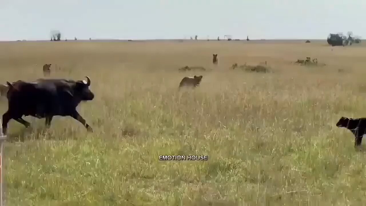 # Maa❤️❤️❤️