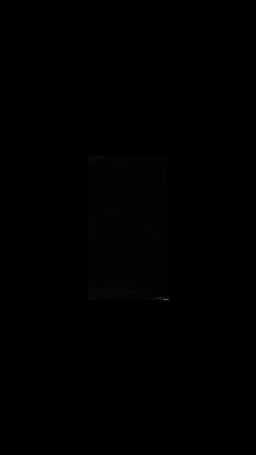 STARS RATS IN DISQUISE