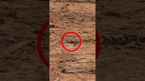 Som ET - 59 - Mars - Curiosity Sol 109 - Updated #Shorts