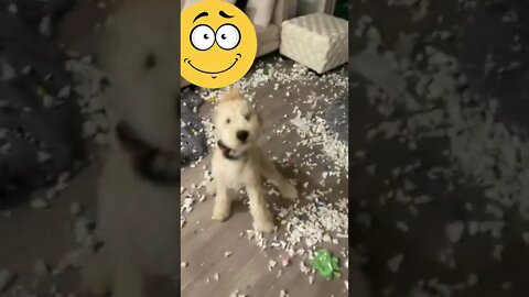que baguuuuuunçaaaaaa!!!!