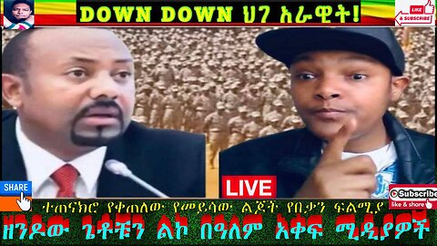 የመይሳው ልጆች የማያዳግም ፍልሚያና ወይዘሮ ማዘንጊያ