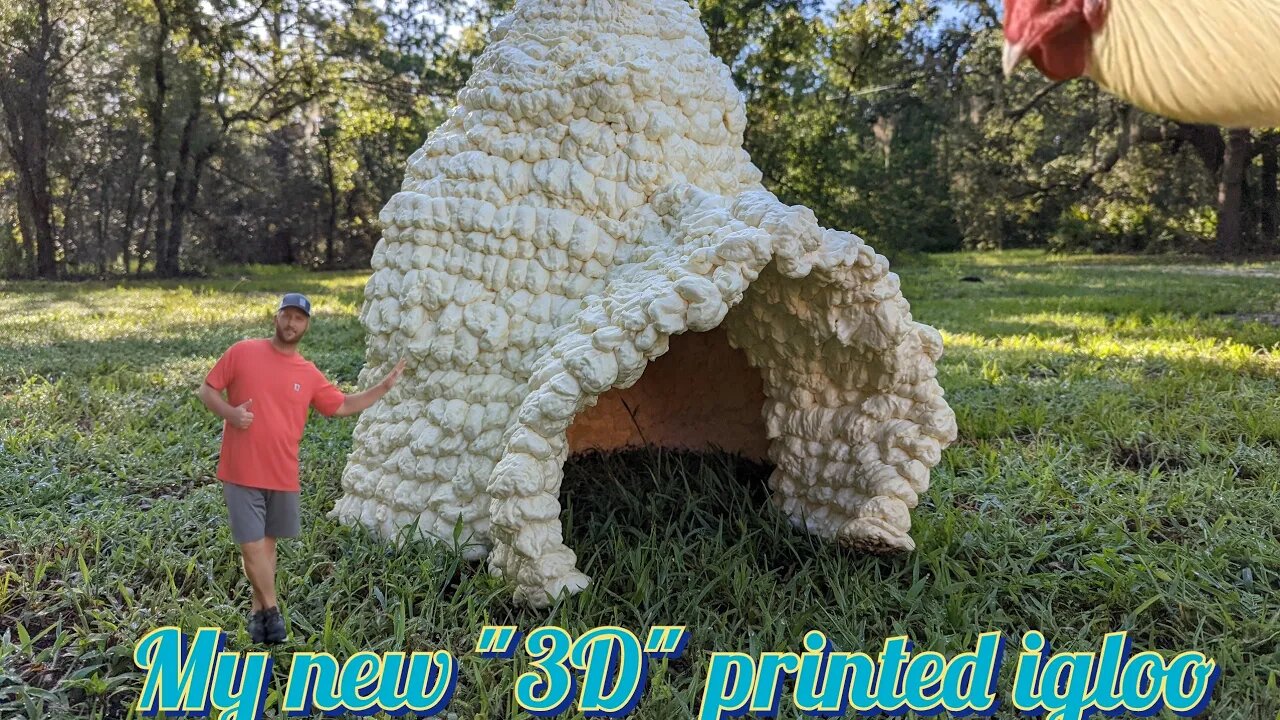 I "3D" printed a igloo