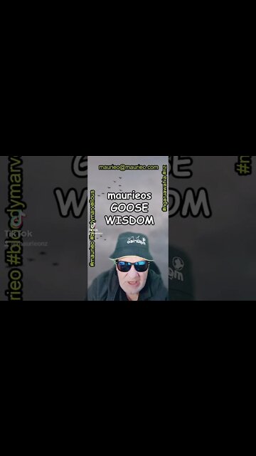 maurieo #short GOOSE WISDOM
