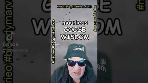 maurieo #short GOOSE WISDOM