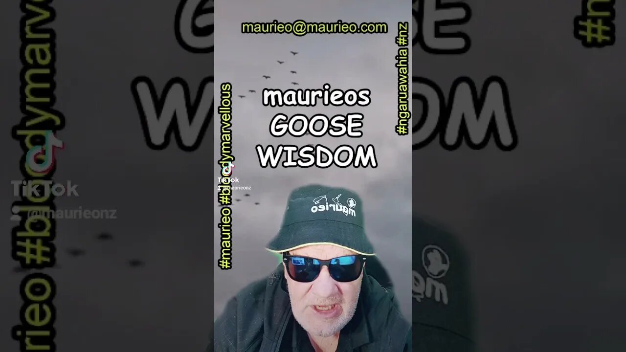 maurieo #short GOOSE WISDOM