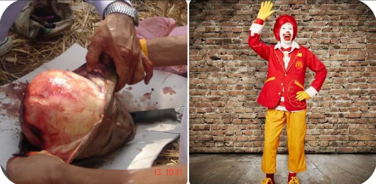 Human Meat in McDonalds Food & the Bill Gates Connection