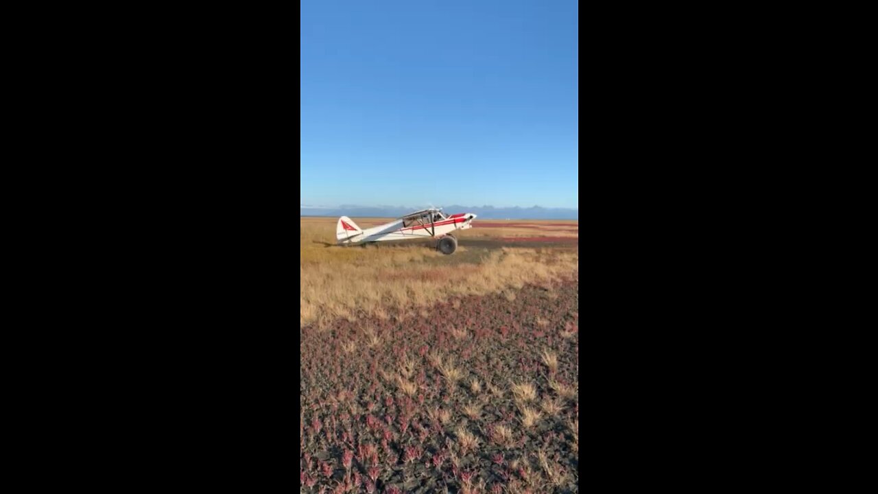 Piper across the Inlet