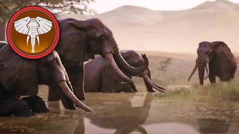 ANIMALIA - JOGO DE SOBREVIVÊNCIA DE ANIMAIS