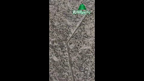 naat pak