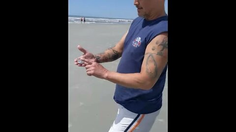 Saltwater hand fishing! Cool looking striped fish.