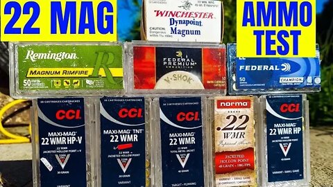 Ultimate 22 Mag AMMO Test!!!