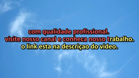 Alemao do Forro Quem bota o povo pra dancar karaoke playback