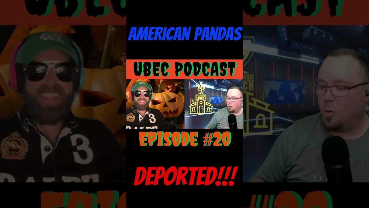 #china taking back their #panda from #USA #shorts #viral #fyp