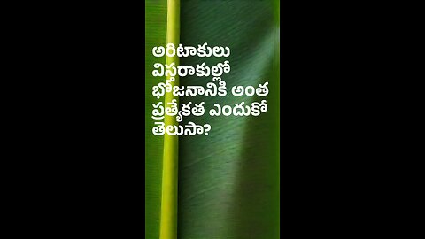 అరిటాకులు విస్తరాకుల్లో భోజనానికి అంత ప్రత్యేకత ఎందుకో తెలుసా?