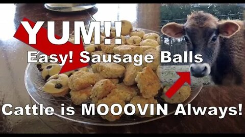 How To Make EASY Sausage Balls and PARTY Time! - The Mac's