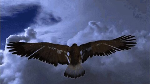 12/8/2024 The Final Quickening Unto the Rapture !