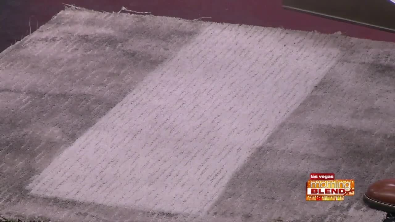 Feel the Power of Zerorez