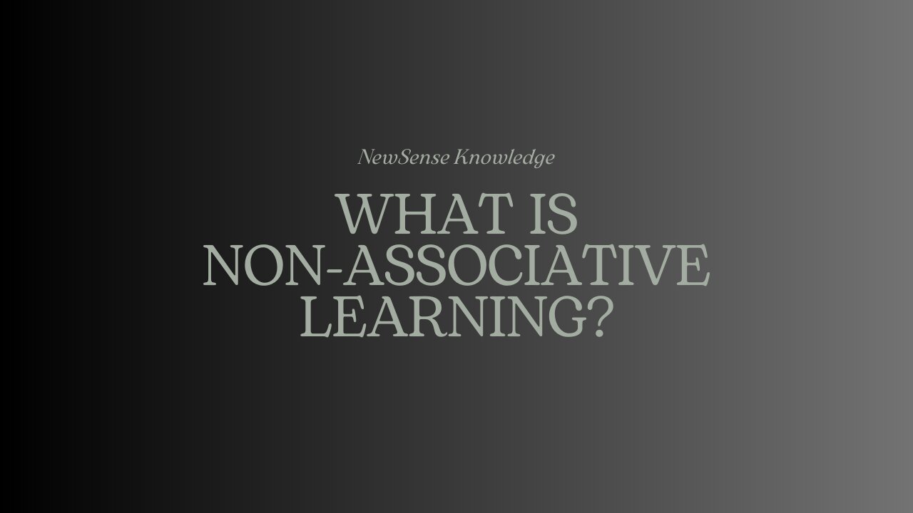 What is Non-Associative Learning?