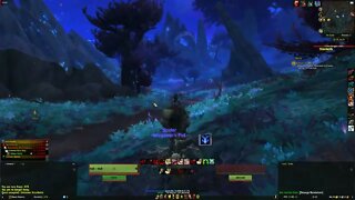 World of Warcraft MMORPG Unknown Assailants