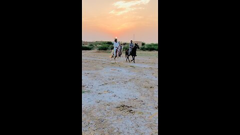 Horse Riding