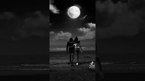 #shorts #sayari #lofi #trueline #attitude #whatsappstatus #sad #life #feeling #status #motivation