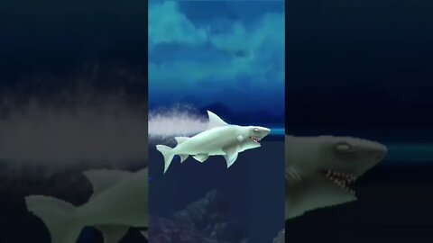 hungry shark_Reef shark 🦈 eats man swimmer 🏊‍♂️ meat