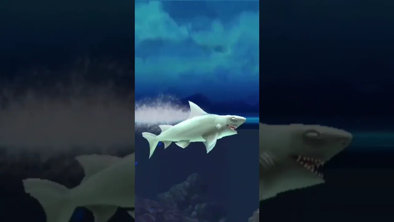 hungry shark_Reef shark 🦈 eats man swimmer 🏊♂️ meat