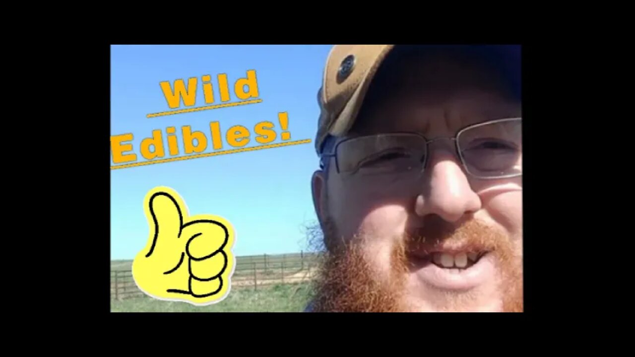 Eat this Wild Edible and See What it Does for Your Health....and it's YUMMY too!