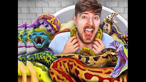 WOULD YOU SIT WITH SNAKES FOR $10000🥶🥶😲😲😲😲