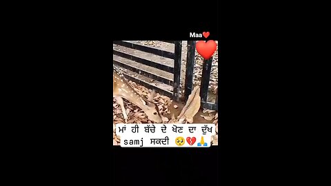 ma ta ma hi hundi chahe Kise di v hove