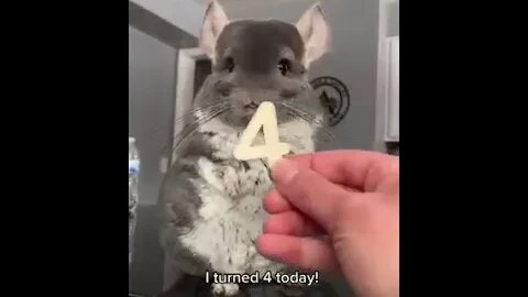 New Farlight 84 Syfer شخصية اصبحت خارقة