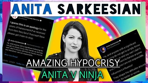 Anita Sarkeesian V Ninja: Critical Hypocrisy