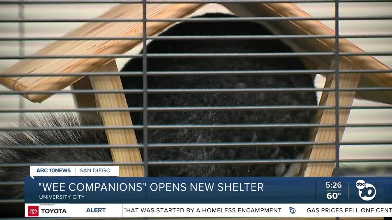 Wee Companions opens new adoption center in University City