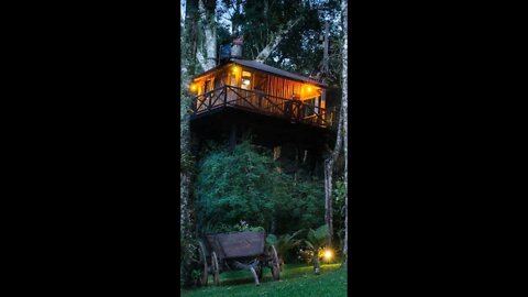 #shorts - Casa na Árvore em Minas Gerais
