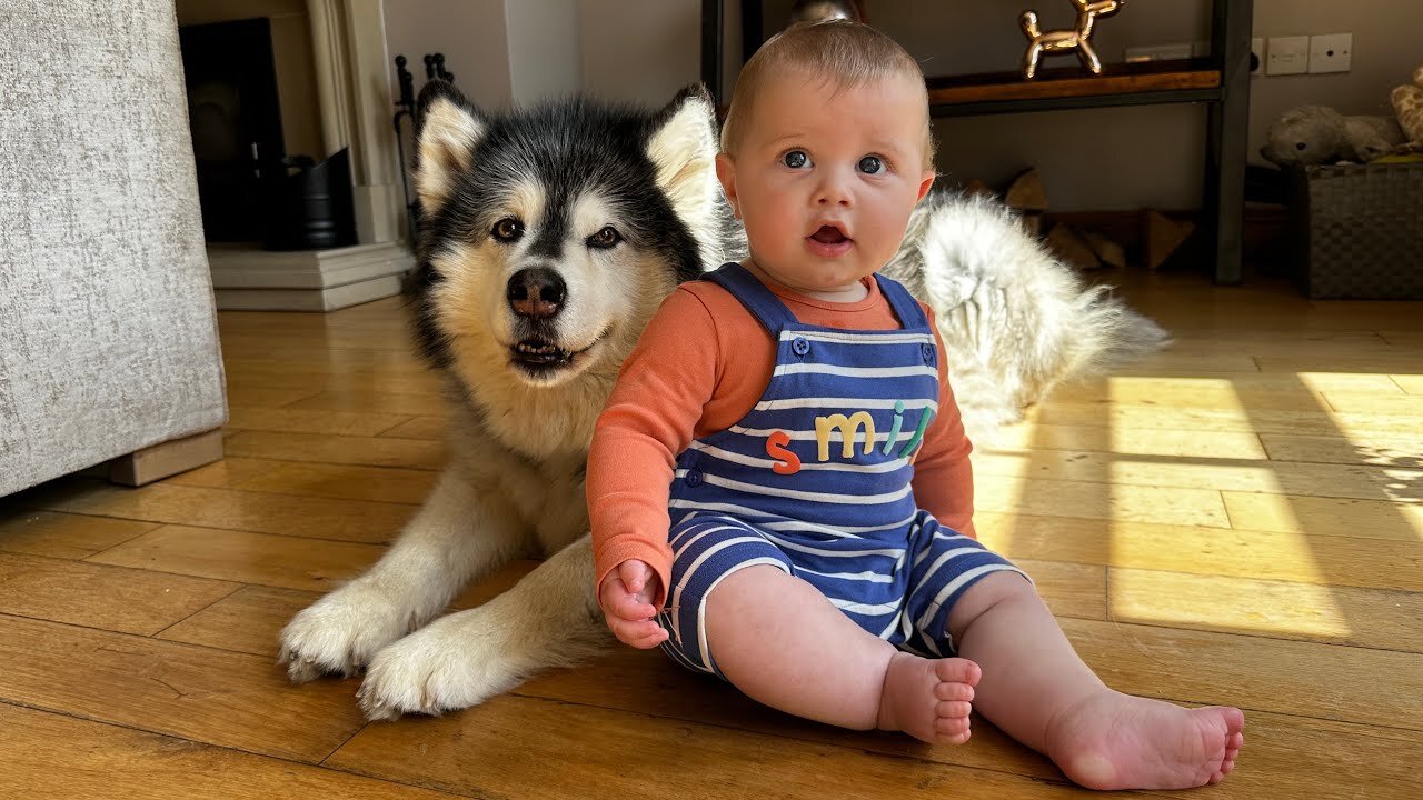 Adorable Baby Boy Talks To His Dog! (Cutest Ever!!)