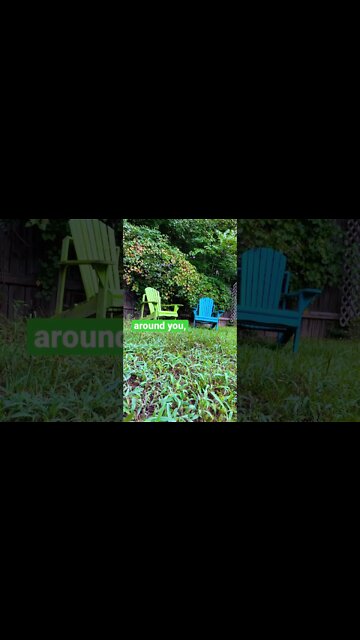 Morning Zen Calm #shorts