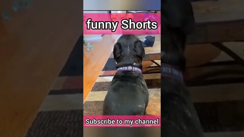 Viral funny 🤣 moments in india 2022(3)