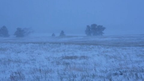 Global Warming Reaches Wyoming