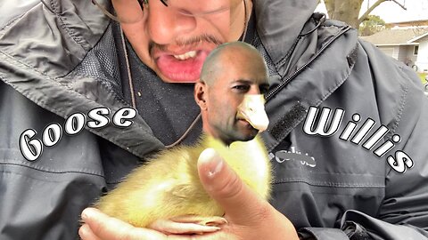 A Man and his Goose ft. Goose Willis