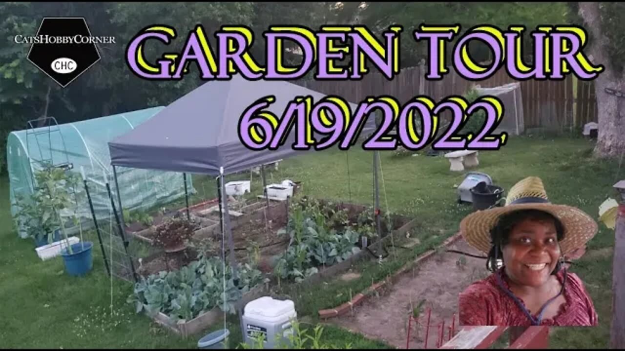 Cat's Garden Progress - 19jun2022