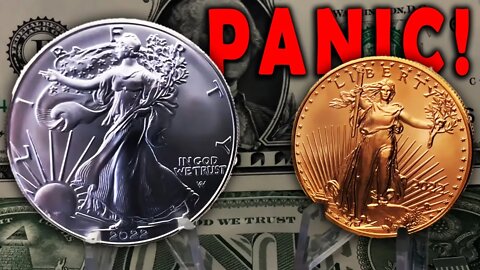 Gold & Silver PLUNGE On The Edge Of A PANIC