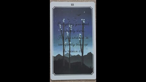 MEDITATION #receptive #showupforyourself #consistency #tarot #tarotary #dailycard