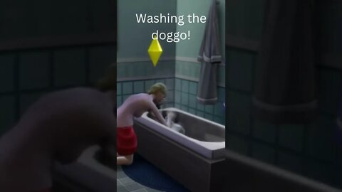 Washing the dog | The Sims 4