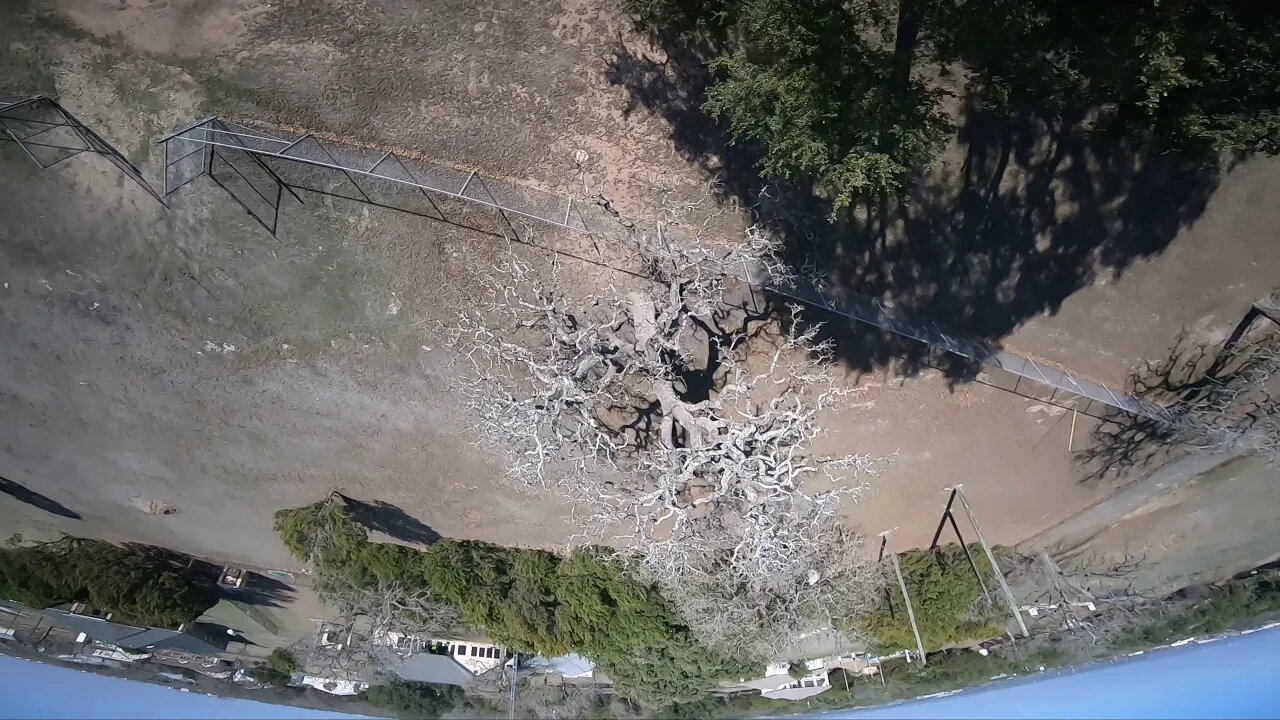 12/15/19, Armattan Chameleon