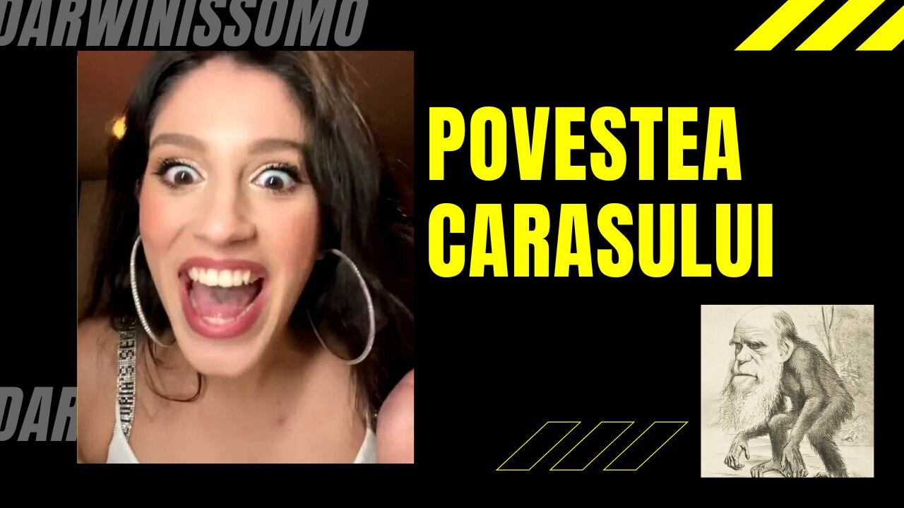 13TV: "Ființa este porno" SEXY BRĂILEANCA | DARWINISSIMO